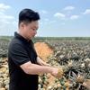 侠鹿相逢头像