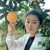 欣欣果农头像