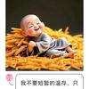 日本搬砖的涛哥头像