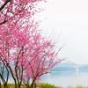 晴空万里行万里头像