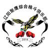 辽阳聚鹰综合格斗头像