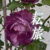 耘旅录头像