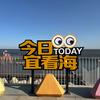 育儿日记（蛇盘兔）头像