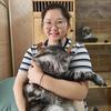 胖妮爱养猫头像