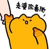 是黄喵呀头像