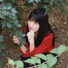 小孟要努力（不打紧版）头像