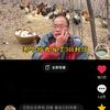 跑山王阳头像