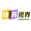 扶苏视界头像