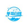 单哥自媒头像