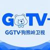 GGTV-狗熊岭卫视头像