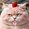 小草莓🍓头像