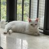 小白师傅的假期头像