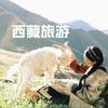 西藏旅游推荐官头像