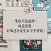 今天比昨天强头像