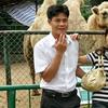 关于森哥头像