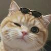 唱将招财猫头像