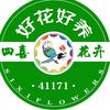 四喜叶哥（鲜花行情）头像