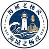 海城老杨说头像
