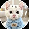 小猫好运来咯～头像