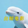 白鲸电影头像
