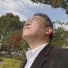 枫叶漫谈头像