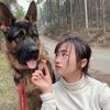 小熊户外头像
