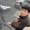 闪电麦昆头像