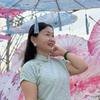 杨杨属马头像