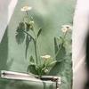 顾晓梦头像