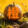 野橙荒野头像