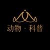 大宝看世界头像