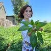 娜本是我头像