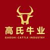 高氏牛业头像