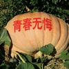 李建波头像