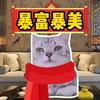 小野猫史(日更版)头像