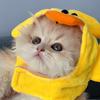 Panda不是熊猫头像