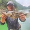 东张溪旺🎣头像