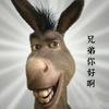 老驴班长头像