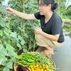 陆小希（农家菜）头像
