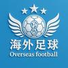 海外足球头像