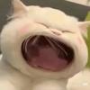 豆花。头像