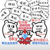 Sky老外经纪人头像