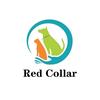 志愿者S姐-红项圈头像