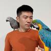 磊子鹦鹉头像