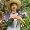 农村芬姐头像