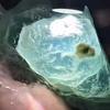 甄淘翡翠头像