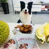 芥末拌饭廖煮任头像