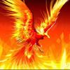广州火凤凰头像