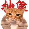 抽象小猫拯救世界头像
