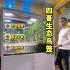 生态景观鸟笼头像